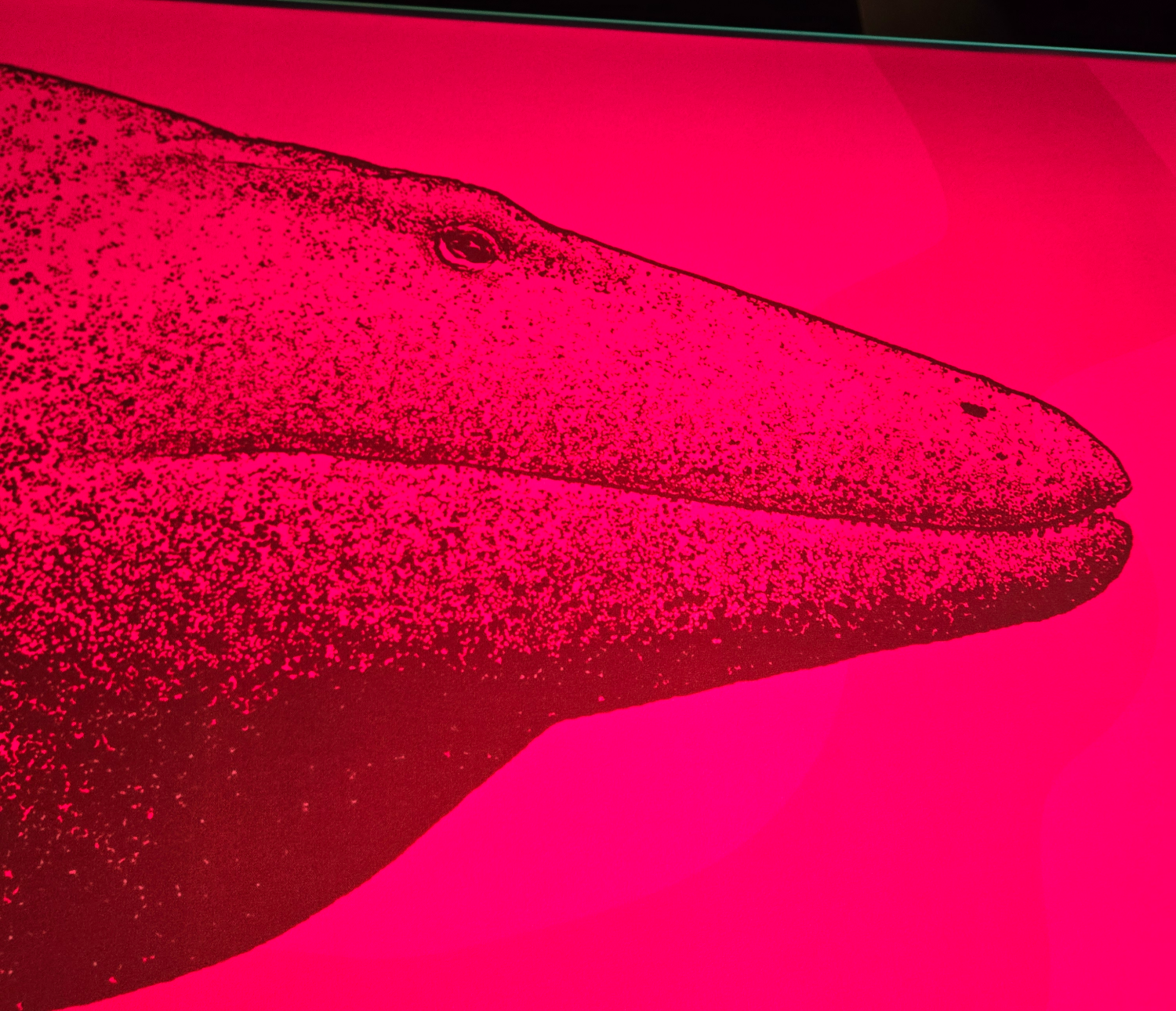 Lizzard Fish Blank Meme Template