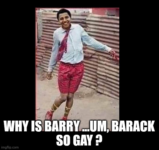 OBAMA GAY | WHY IS BARRY ...UM, BARACK
SO GAY ? | image tagged in obama gay | made w/ Imgflip meme maker
