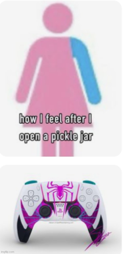 bro who TF puts shit on my Pinterest like this | image tagged in shitpost,pinterest,wtf | made w/ Imgflip meme maker
