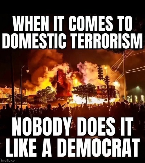If you don't see this as FACT, you gotta be a Democrat! | image tagged in the truth,come on,basic,fact,democrats,terrorism | made w/ Imgflip meme maker