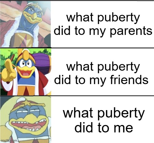 Best,Better,Blurst king dedede editon | what puberty did to my parents; what puberty did to my friends; what puberty did to me | image tagged in kirby | made w/ Imgflip meme maker