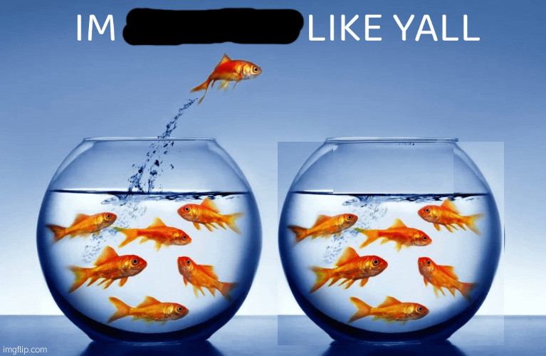I’m nothin like yall | image tagged in i m nothin like yall | made w/ Imgflip meme maker