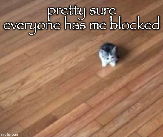 tiny ahh cat | pretty sure everyone has me blocked | image tagged in tiny ahh cat | made w/ Imgflip meme maker