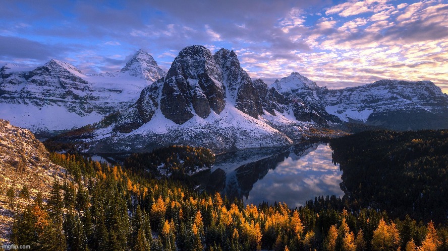 hey. | made w/ Imgflip meme maker