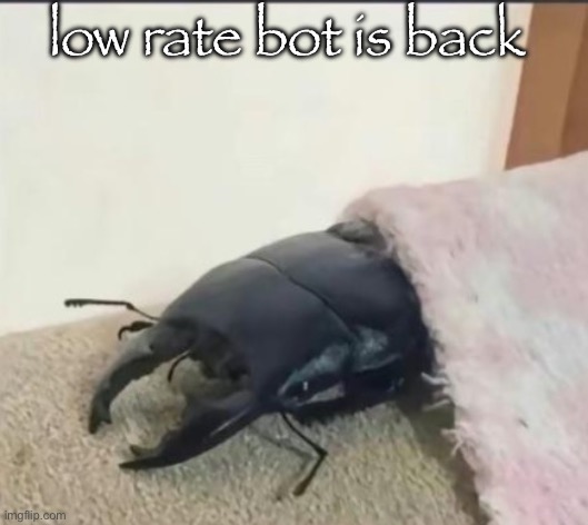 beetle | low rate bot is back | image tagged in beetle | made w/ Imgflip meme maker