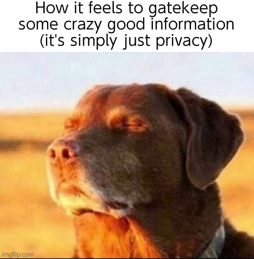 . | How it feels to gatekeep some crazy good information (it's simply just privacy) | image tagged in dog looking at sunshine | made w/ Imgflip meme maker