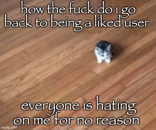 me and toady are innocent, it’s scrap and vama that should be hated | how the fuck do i go back to being a liked user; everyone is hating on me for no reason | image tagged in tiny ahh cat | made w/ Imgflip meme maker