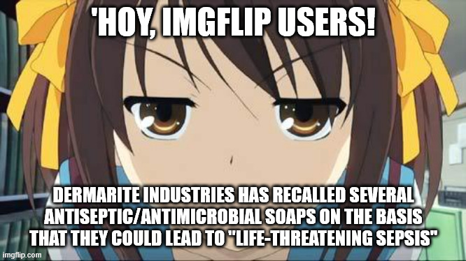 ironic | 'HOY, IMGFLIP USERS! DERMARITE INDUSTRIES HAS RECALLED SEVERAL ANTISEPTIC/ANTIMICROBIAL SOAPS ON THE BASIS THAT THEY COULD LEAD TO "LIFE-THREATENING SEPSIS" | image tagged in haruhi stare | made w/ Imgflip meme maker