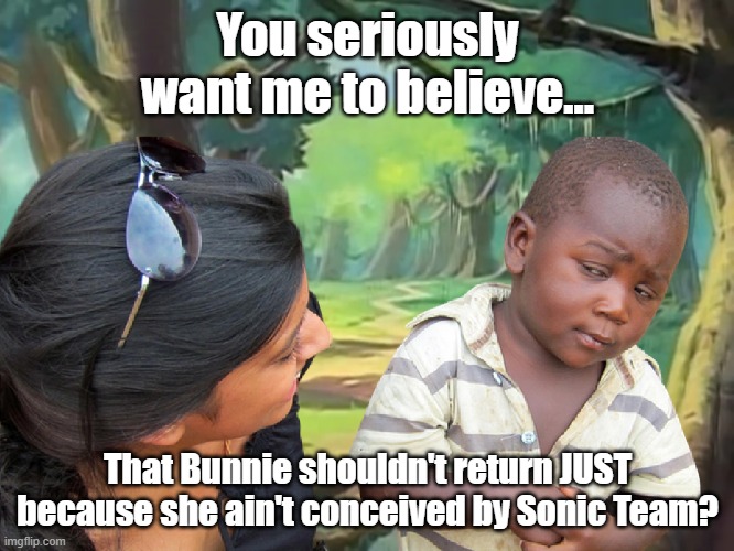 Get a Load of This Guy (Bunnie Rabbot) | You seriously want me to believe... That Bunnie shouldn't return JUST because she ain't conceived by Sonic Team? | image tagged in sonic the hedgehog,sonic meme,bunnies | made w/ Imgflip meme maker