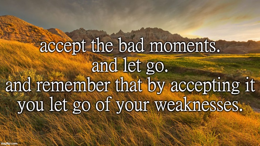 accept the bad moments.
and let go.
and remember that by accepting it
you let go of your weaknesses. | made w/ Imgflip meme maker