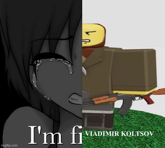 Im Koltsov | VIADIMIR KOLTSOV | image tagged in i m fi-,blood debt roblox | made w/ Imgflip meme maker