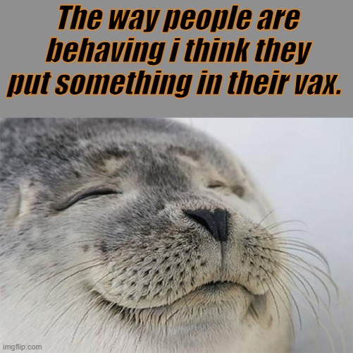 They got juiced | The way people are behaving i think they put something in their vax. | image tagged in memes,satisfied seal | made w/ Imgflip meme maker