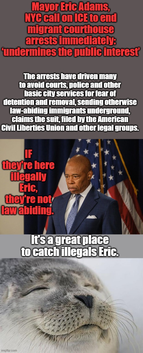 Mayor Eric Adams, NYC call on ICE to end migrant courthouse arrests immediately: ‘undermines the public interest’; The arrests have driven many to avoid courts, police and other basic city services for fear of detention and removal, sending otherwise law-abiding immigrants underground, claims the suit, filed by the American Civil Liberties Union and other legal groups. IF they're here illegally Eric, they're not law abiding. It's a great place to catch illegals Eric. | image tagged in memes,satisfied seal | made w/ Imgflip meme maker