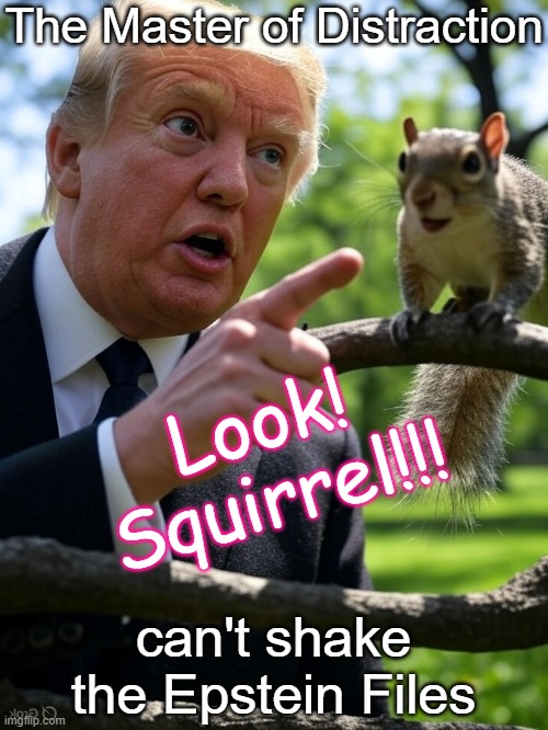 Trump Master of Distraction - Squirrel - Can't shake the Epstein files | The Master of Distraction; Look! Squirrel!!! can't shake the Epstein Files | image tagged in trump squirrel master of distraction,jeffrey,ghislaine maxwell,republican,corruption,authoritarian | made w/ Imgflip meme maker