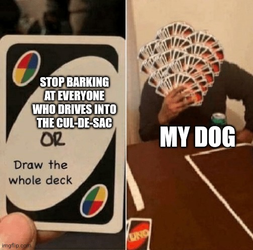 UNO Draw The Whole Deck | STOP BARKING AT EVERYONE WHO DRIVES INTO THE CUL-DE-SAC; MY DOG | image tagged in uno draw the whole deck | made w/ Imgflip meme maker