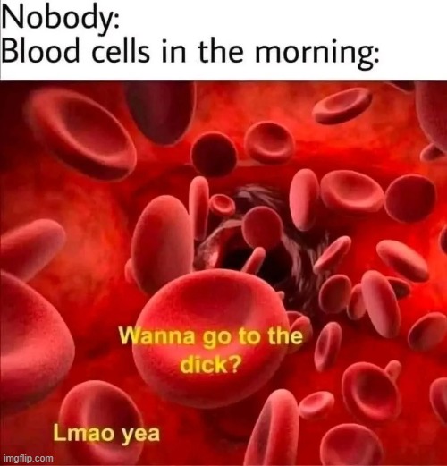 Morning Blood | image tagged in sex jokes | made w/ Imgflip meme maker