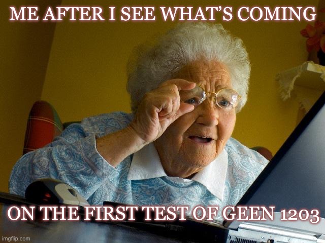 Grandma Finds The Internet Meme | ME AFTER I SEE WHAT’S COMING; ON THE FIRST TEST OF GEEN 1203 | image tagged in memes,grandma finds the internet | made w/ Imgflip meme maker