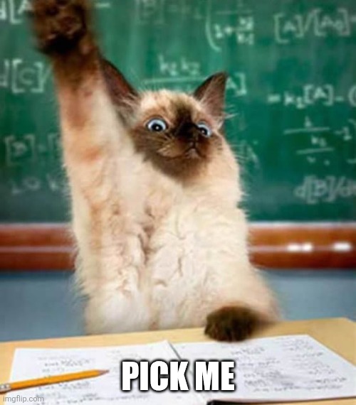 Pick me pick me | PICK ME | image tagged in pick me pick me | made w/ Imgflip meme maker