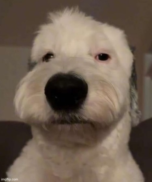 What is this… | image tagged in vro | made w/ Imgflip meme maker