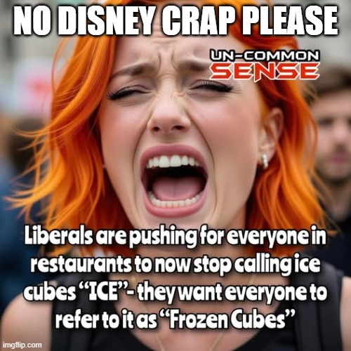 Holy Karen Batman | NO DISNEY CRAP PLEASE | image tagged in holy karen batman | made w/ Imgflip meme maker