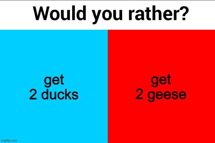 Would you rather? | get 2 ducks; get 2 geese | image tagged in would you rather | made w/ Imgflip meme maker