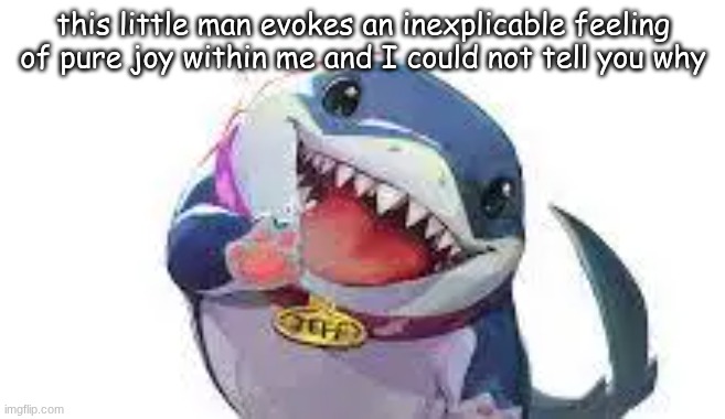 I LOVE HIM SO MUCH (platonically) | this little man evokes an inexplicable feeling of pure joy within me and I could not tell you why | made w/ Imgflip meme maker