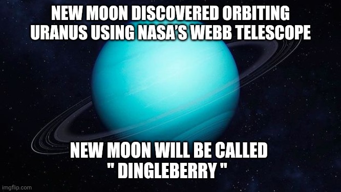 Uranus memes | NEW MOON DISCOVERED ORBITING URANUS USING NASA’S WEBB TELESCOPE; NEW MOON WILL BE CALLED 
" DINGLEBERRY " | made w/ Imgflip meme maker