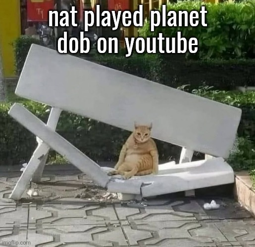 cat on broken bench | nat played planet
dob on youtube | image tagged in cat on broken bench | made w/ Imgflip meme maker