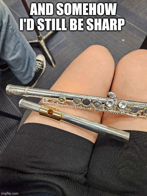 image tagged in band,flute,tuning,music | made w/ Imgflip meme maker