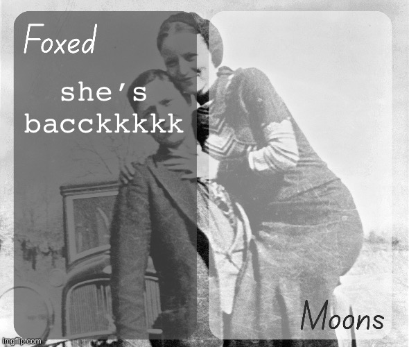 Foxed n Moons - Bonnie and Clyde temp | she’s bacckkkkk | image tagged in foxed n moons - bonnie and clyde temp | made w/ Imgflip meme maker