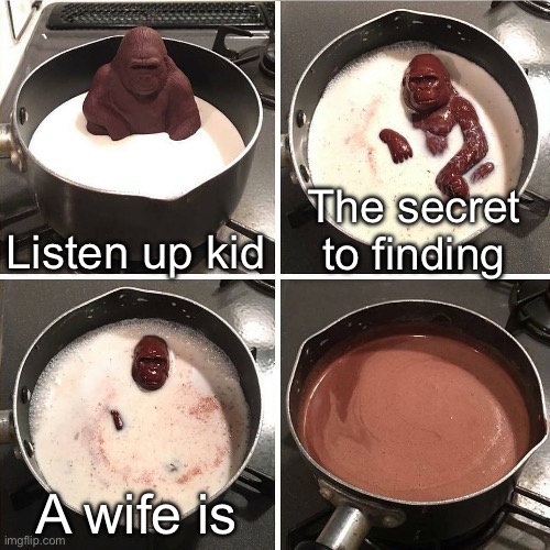 Finding a Wife | Listen up kid; The secret to finding; A wife is | image tagged in chocolate gorilla,wife,marriage,marry,wifey | made w/ Imgflip meme maker