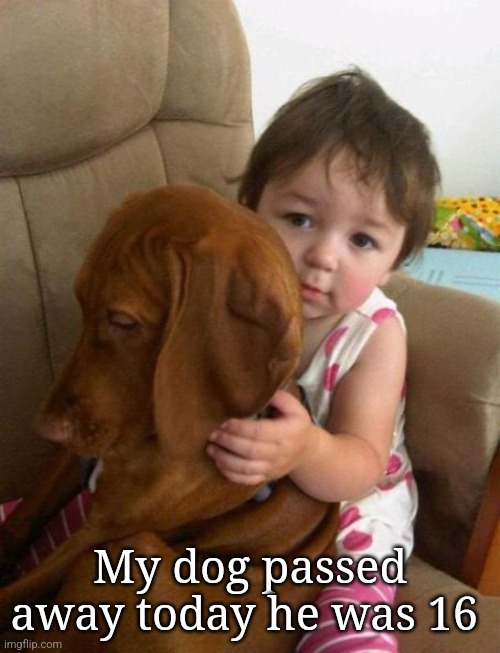 My dog passed away today he was 16 | made w/ Imgflip meme maker