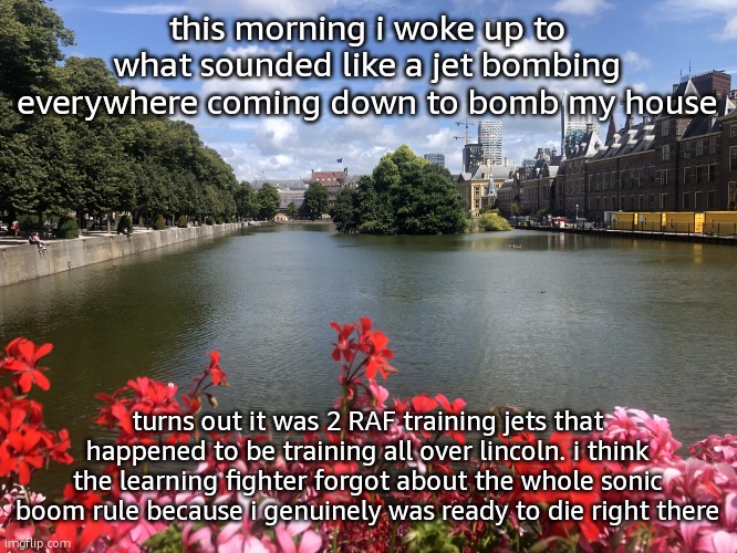 Roses | this morning i woke up to what sounded like a jet bombing everywhere coming down to bomb my house; turns out it was 2 RAF training jets that happened to be training all over lincoln. i think the learning fighter forgot about the whole sonic boom rule because i genuinely was ready to die right there | image tagged in roses | made w/ Imgflip meme maker