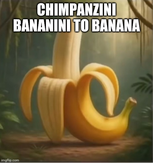 Banana | CHIMPANZINI BANANINI TO BANANA | image tagged in brainrot,meme,funny,funny memes | made w/ Imgflip meme maker