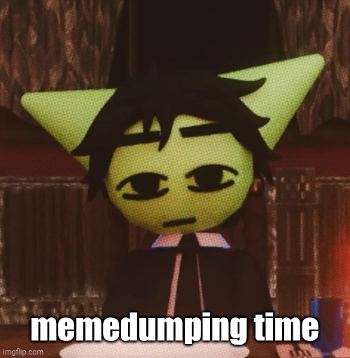 vrochacho what | memedumping time | image tagged in vrochacho what | made w/ Imgflip meme maker