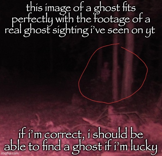 this image of a ghost fits perfectly with the footage of a real ghost sighting i’ve seen on yt; if i’m correct, i should be able to find a ghost if i’m lucky | made w/ Imgflip meme maker