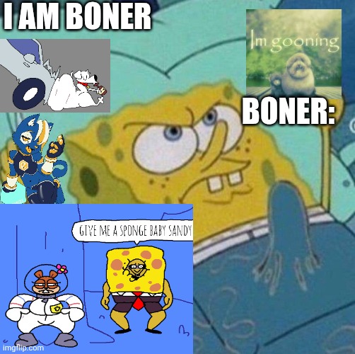 High Quality Iamboner announcement Blank Meme Template