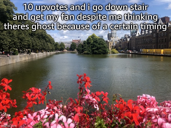 Roses | 10 upvotes and i go down stair and get my fan despite me thinking theres ghost because of a certain timing | image tagged in roses | made w/ Imgflip meme maker