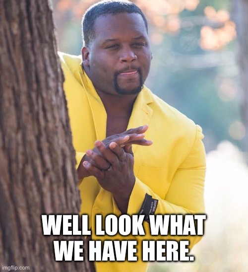 Black guy hiding behind tree | WELL LOOK WHAT WE HAVE HERE. | image tagged in black guy hiding behind tree | made w/ Imgflip meme maker
