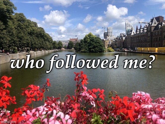 Roses | who followed me? | image tagged in roses | made w/ Imgflip meme maker