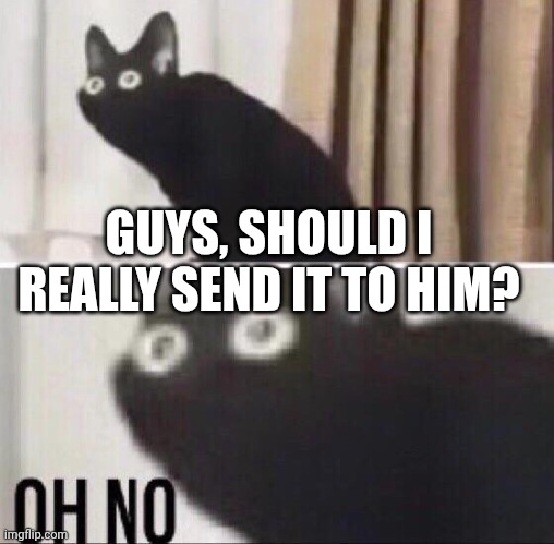 Oh no cat | GUYS, SHOULD I REALLY SEND IT TO HIM? | image tagged in oh no cat | made w/ Imgflip meme maker