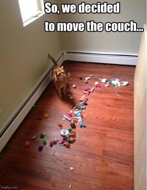 Darn it! That’s where all of our money went! | image tagged in cats,move the couch,cat toys | made w/ Imgflip meme maker