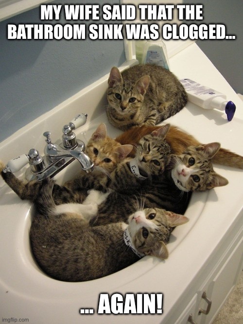I can usually “unclog” it by shaking the Temptations container really hard… | MY WIFE SAID THAT THE BATHROOM SINK WAS CLOGGED…; … AGAIN! | image tagged in cats,bathroom sink,clogged | made w/ Imgflip meme maker