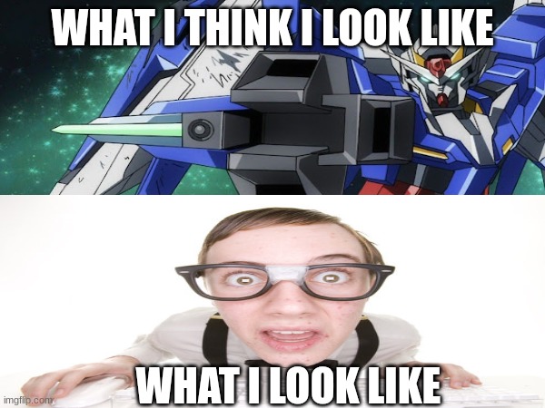 WHAT I THINK I LOOK LIKE; WHAT I LOOK LIKE | image tagged in gundam,funny,awesome,rofl,lol so funny,hahaha | made w/ Imgflip meme maker