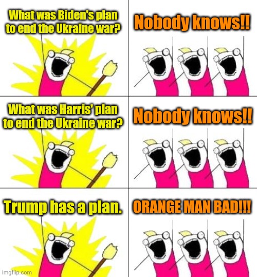 As Greta would say: "How DARE he!" | What was Biden's plan to end the Ukraine war? Nobody knows!! What was Harris' plan to end the Ukraine war? Nobody knows!! Trump has a plan. ORANGE MAN BAD!!! | image tagged in memes,what do we want 3 | made w/ Imgflip meme maker