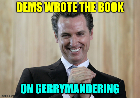 Scheming Gavin Newsom  | DEMS WROTE THE BOOK ON GERRYMANDERING | image tagged in scheming gavin newsom | made w/ Imgflip meme maker