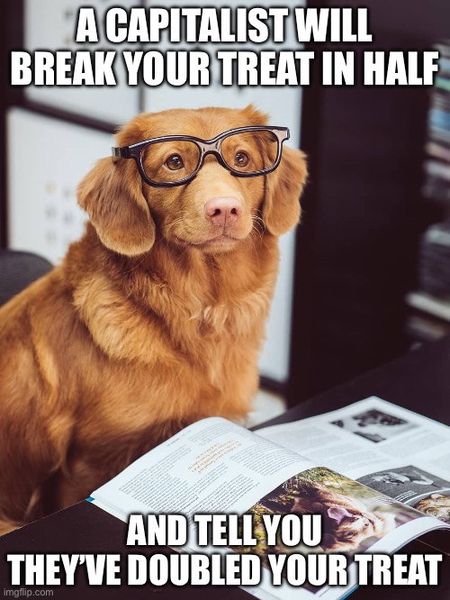 Capitalism irl | A CAPITALIST WILL BREAK YOUR TREAT IN HALF; AND TELL YOU THEY’VE DOUBLED YOUR TREAT | image tagged in dog studying,capitalism | made w/ Imgflip meme maker