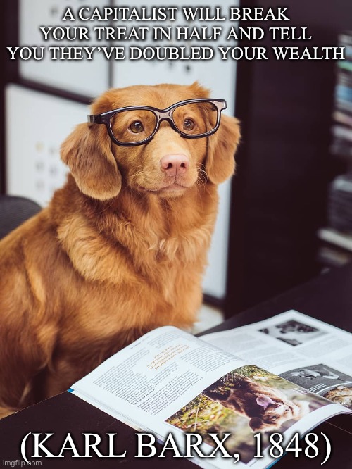 Barxist economics | A CAPITALIST WILL BREAK YOUR TREAT IN HALF AND TELL YOU THEY’VE DOUBLED YOUR WEALTH; (KARL BARX, 1848) | image tagged in dog studying,economics,karl marx,treat,double | made w/ Imgflip meme maker