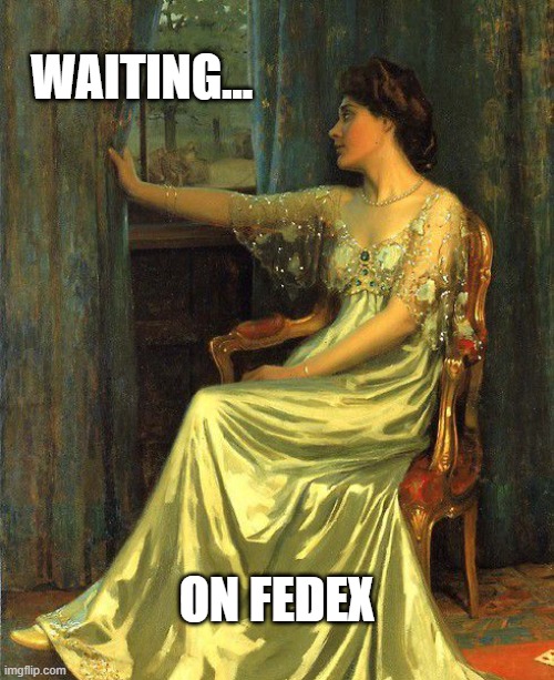 Waiting on FedEx | WAITING... ON FEDEX | image tagged in waiting on fedex | made w/ Imgflip meme maker