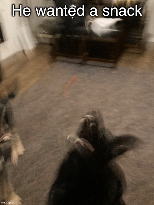 He wanted a snack | made w/ Imgflip meme maker